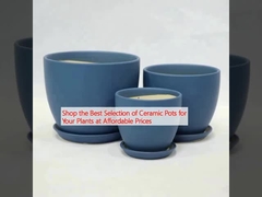 Покупайте лучший выбор керамических горшков для ваших растений по доступным ценам