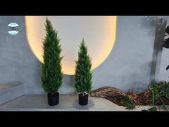 Преобразуйте свой бизнес с помощью 110 см искусственного дерева шэффлеры от лучших поставщиков