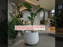 Добавьте стиль и функциональность в свой сад с помощью наших гипсопластеров