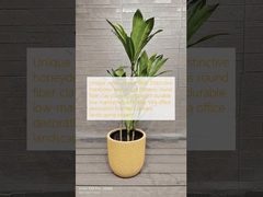 Уникальные желтые цветочные горшки: отличительная кожура дыни Медовый рос Мелоны круглые волокна глиняные плантаторы легкий прочный низкий содержание праздник Вилла офисная отделка На крыше Сады ландшафтный проект