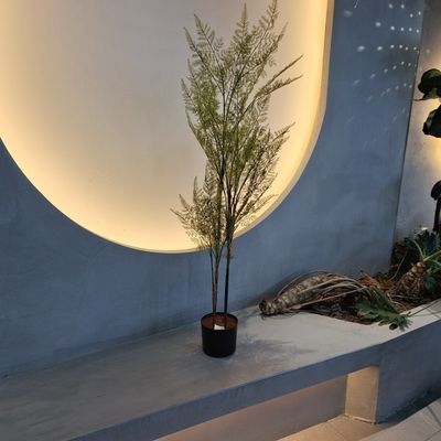 Купить Ультрареалистичное искусственное дерево папоротника - пышный зеленый устойчивый к УФ с низким уровнем обслуживания online manufacture